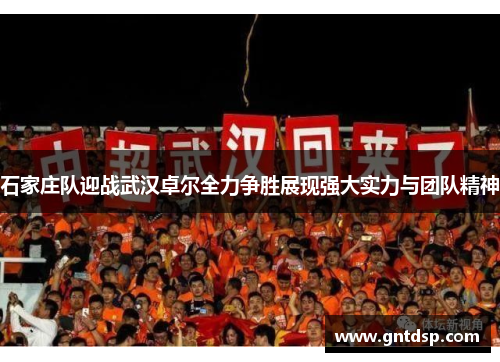 石家庄队迎战武汉卓尔全力争胜展现强大实力与团队精神